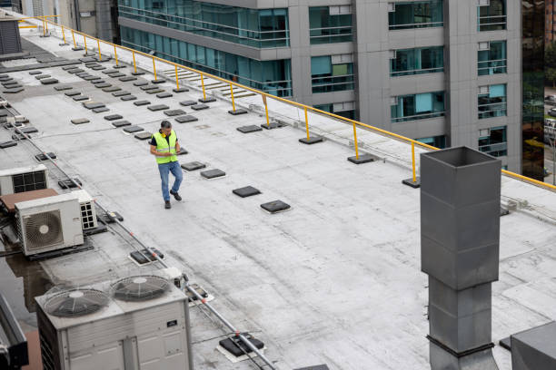 Best Skylight Installation and Repair  in Laurel, MT